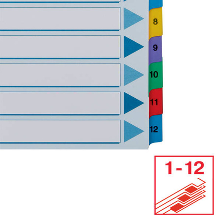 PRZEKŁADKI 1-12 A4 ESSELTE MYLAR 100162 MIX KARTON 160G