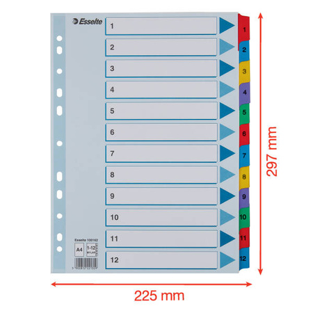 PRZEKŁADKI 1-12 A4 ESSELTE MYLAR 100162 MIX KARTON 160G