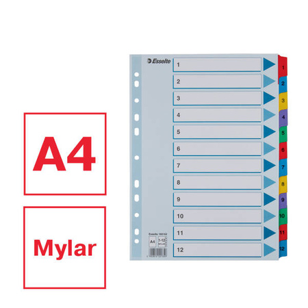 PRZEKŁADKI 1-12 A4 ESSELTE MYLAR 100162 MIX KARTON 160G