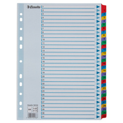 PRZEKŁADKI 1-31 A4 ESSELTE MYLAR 100164 MIX KARTON 160G