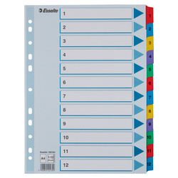 PRZEKŁADKI 1-12 A4 ESSELTE MYLAR 100162 MIX KARTON 160G