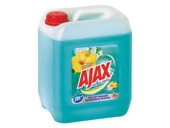 AJAX 5L FL.LAGUNA AJAX PO TERMINIE