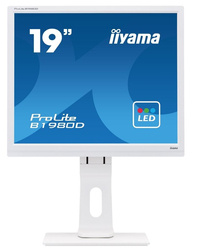 IIYAMA MONITOR 19 CALI B1980D-W1 DVI/VGA/5:4/PIVOT/HAS/ACR/VESA