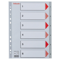 PRZEKŁADKI 1-6 A4 ESSELTE 100104 SZARY PP