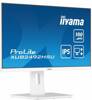 IIYAMA MONITOR 23.8 CALA XUB2492HSU-W6 IPS,HDMI,DP,100HZ,SLIM,HAS(150MM),4XUSB