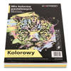 PAPIER KSERO KOLOR A4 EMERSON MIX PASTELOWY 80G 5*50ARK